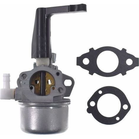 Carburateur Remplacement Kit Joint Compatible Moteurs Briggs Stratton (1/4)