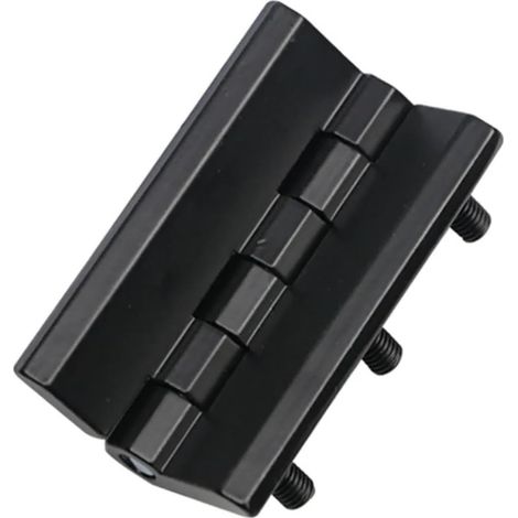 Charnières de porte à roulement à billes, goujon noir (1/5)