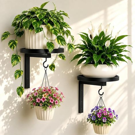 Support Mural Plantes, Etagere Plantes Interieur Mural (1/5)