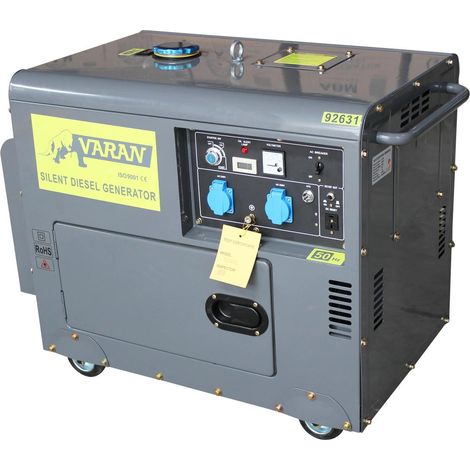 Varan Motors - 92631 Generatore elettrico Diesel SILENZIATO 5,5 KW 230V + 12V