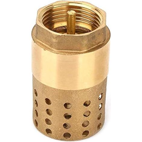 Keenso DN25 Clapet Anti-retour à Sens Unique en Laiton en Treillis avec Filetage Intérieur Femelle avec Filtre Filtrant, Clapet Anti-retour avec Filtre pour Les Chauffe-eau Électriques (1/5)