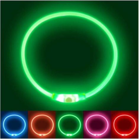 Rechargeable Light-Up Dog Collar (Green), LED Light-Up Dog Collar, Flashing Safety Collar for All Dogs, Small, Medium, and Large Sizes That Run at Night (1/5)