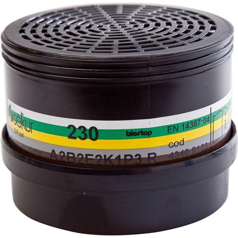 Ekastu Safety Kombinationsfilter Polimask 230, ABE2K1 P3 R D, 258 (1/3)