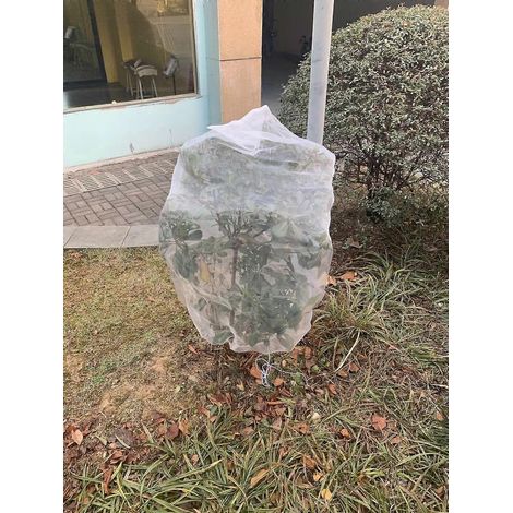 Filet de protection pour arbres fruitiers (1,8 m x 1,8 m), filet anti-insectes et anti-oiseaux, maille fine avec cordon de serrage. (1/5)
