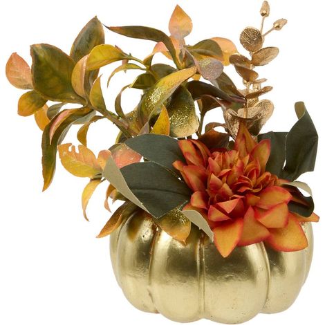 Fiori di zucca compo h20 - Feeric lights & christmas (1/2)