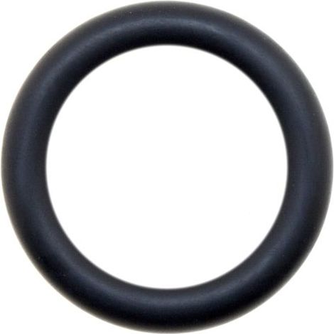 Wolf O-Ring 15,88x2,62 EPDM für CGU-2(K)-18/24 - 3910350