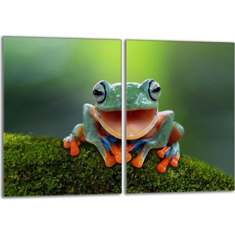 Piastra protettiva in vetro per la stufa 2x40x52 Frog (1/5)