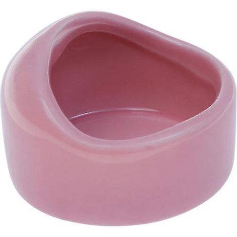 bol en céramique pour hamster