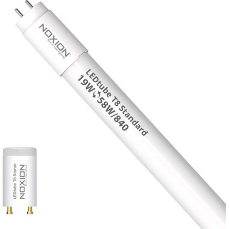 Noxion Tube LED T8 Avant (EM/Direct 230V) Standard Output 19W