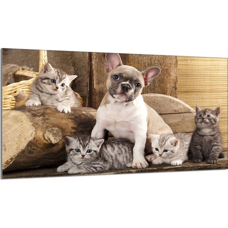 Placa protectora de cristal para estufa 90x52 Perro (1/5)