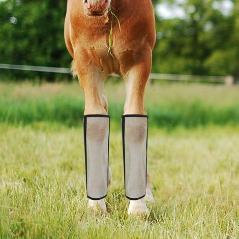 Protège-mouches pour jambes de cheval guêtres anti-mouches respirantes en maille avec fermeture auto-agrippante protections de membres équins contre les piqûres d'insectes lot de 4