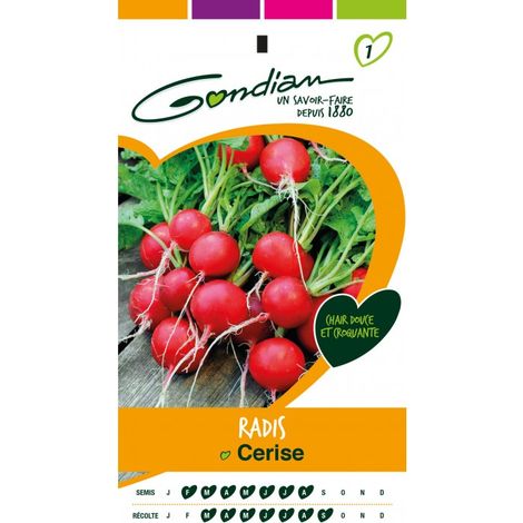 Gondian - Radis Cerise (1/3)