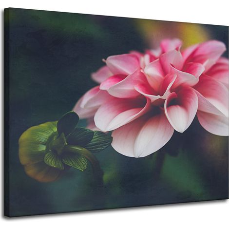 Lienzo impreso Botanica Pink Dahlia 100x80 cm