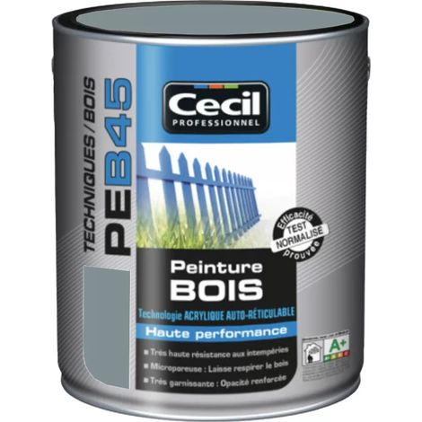 Peinture extérieure bois satinée 2,5 L – Gris bleuté – Résine acrylique hydrophobe – Haute résistance UV et intempéries – Cecil - PEB45 (1/3)