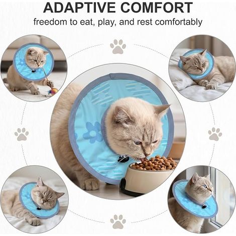 Collerette pour Chat Anti-Léchage, Collerette Chats Ajustable, Collier de Récupération Chat, Collerette de Confort pour Chaton, Collier Élisabéthain Souple de Récupération pour Petit Chien (1/2)