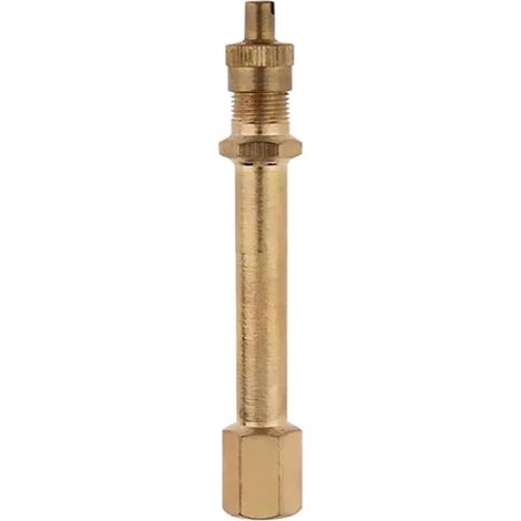Adattatore per asta porta - Prolunga valvola camera d'aria - Prolunga in ottone per pneumatici di camper, camion e autobus - 10 cm (1/5)