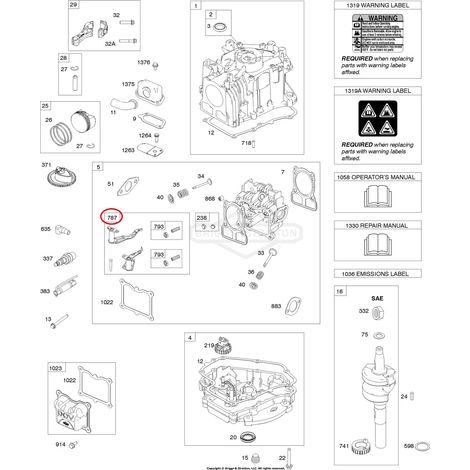Leverismo BRIGGS & STRATTON 793513 Compatibile - 030661