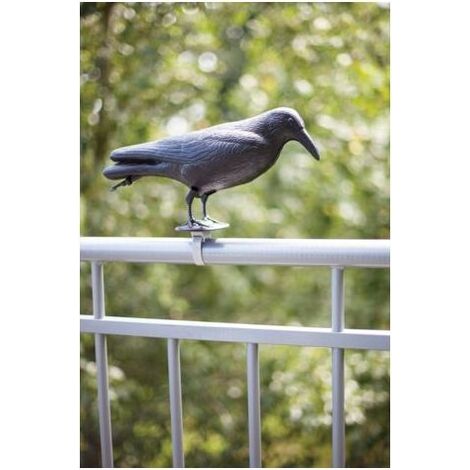 Esschert Design – Epouvantail corbeau en polyéthylène – Système de fixation pour balustrade – Éloigne efficacement les pigeons du potager