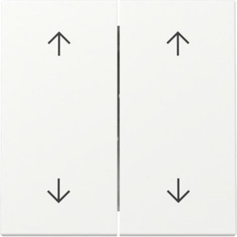 Gira Wippe System 55, 2-fach, Pfeilsymbole, Reinweiß seidenmatt, 329727