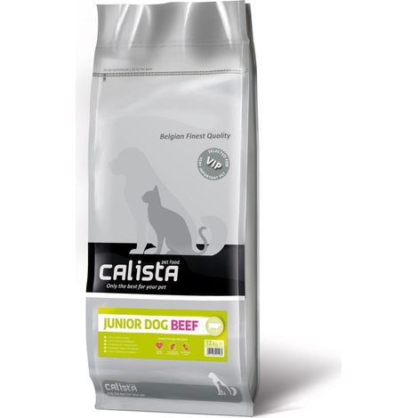 CALISTA - Chiot de bœuf - 12 kg
