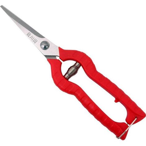 Sécateur - Lames Droites En Acier Inoxydable - Pour Taille De Plantes Fleurs Et Récolte De Fruits - Longueur De Lame 65 Mm - 1 Pièce