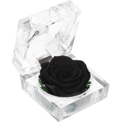 Rose préservée dans une boîte - Cadeau de rose éternelle dans un dôme en verre avec nœud - Rose préservée pour anniversaire, Saint-Valentin, cadeau d'invité de mariage (noir) (1/5)