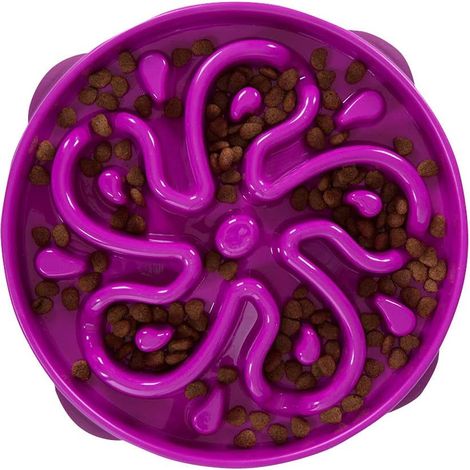 Large Purple Fun Feeder Slo Bowl Slow Feeder Dog Bowl No Bloat No Choke (1/4)