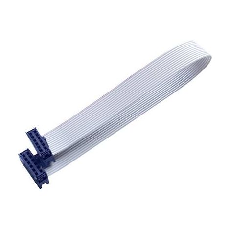 BKL Electronic 10120669 Câble en nappe Pas: 2.54 mm 12 x 0.08 mm² gris 1 pc(s) (1/2)