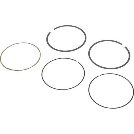 Kit de segments BRIGGS ET STRATTON 797011