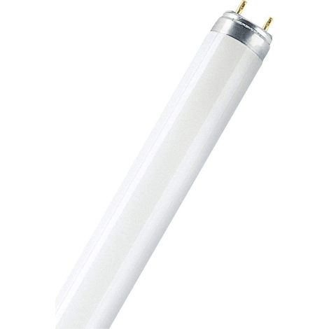 Osram – Tube néon LED 60 cm 7,6 W – Lumière naturelle 4000K – Culot G13 – Flux lumineux 700 lm – Durée de vie 30000 heures