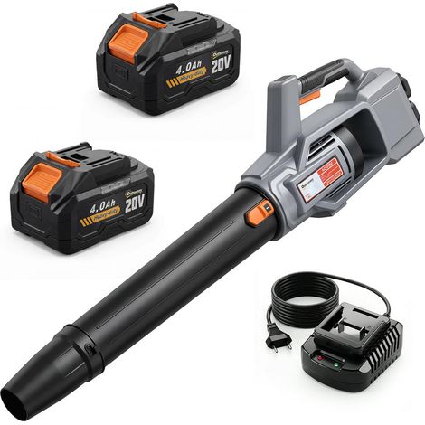 Moteur Brushless 1000W 36V Nettoyage Rapide et Silencieux Souffleur à Batterie sans Fil pour Débris Jardin Allée (1/5)