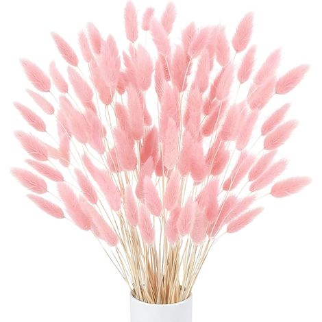120 Pcs Fleurs Séchées Naturelles Herbe De Pampa Fleurs Séchées Rose Petite Séchée Herbe De Pampa Petite Herbe De Roseau pour Mariage Maison Fête Bureau Photographie Vase Décoration Rose (1/5)