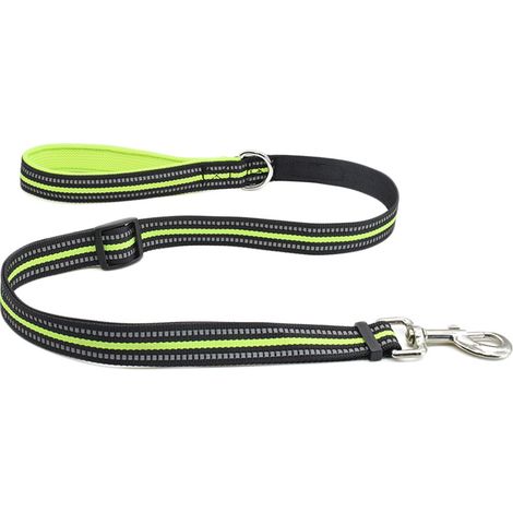 Laisse réfléchissante pour chien pour la marche et la course des chiens (1/3)