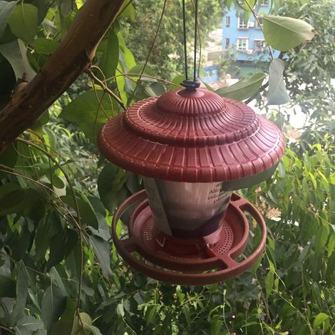 Mangeoire suspendue pour oiseaux, graines pour oiseaux, accessoires de jardin (1/5)