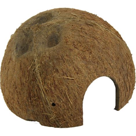 JBL Cocos Cava Größe M 1/2 Kokosnuss-Schale als Höhle für Aquarien und Terrarien