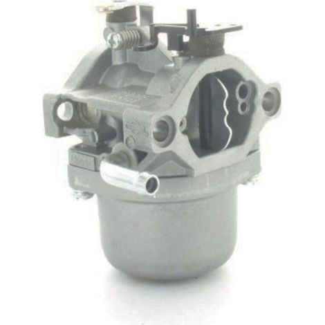 Carburateur adaptable pour moteurs Briggs & Stratton Remplace 590399, 794653 Performance optimale pour moteurs 13,5cv Compatible avec modèles 212900 à 219800 (1/3)