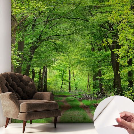 Fotomurale adesivo - Carta da parati adesiva - per la cucina camera da letto per la soggiorno - Sentiero nel bosco 250x250 cm (1/5)