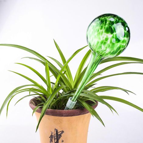 1 stuk planten- en bloemenwaterdispenser, kantooraccessoires, glas, groen (1/5)