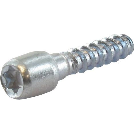 Vis Torx M6x25mm adaptable Stihl para todos los modelos. Reemplaza original 1121-791-6105.