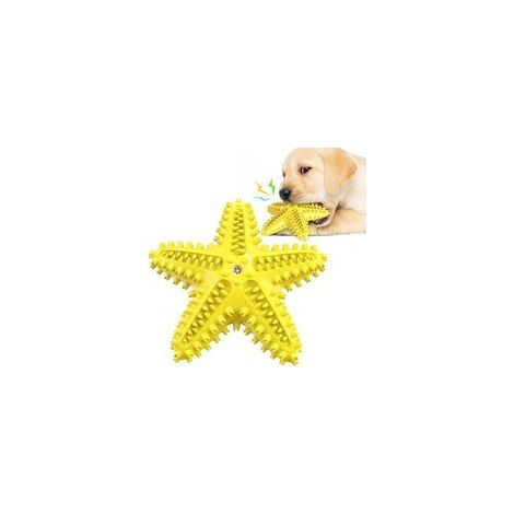 Giocattoli galleggianti per cani, giocattoli per cuccioli con fischietto, spazzolino da denti per cani di piccola e media taglia - Crezuo
