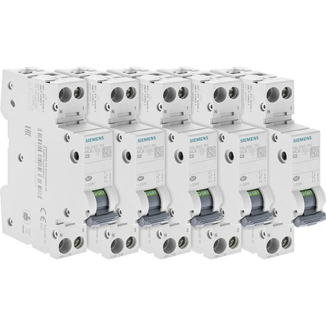 Lot de 5 Disjoncteurs électriques phase + neutre 2A (1/3)