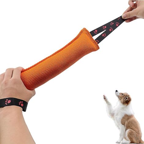 Boudin Chien, Jouet à Mâcher Chien Indestructible Saucisse 30 cm (1/5)