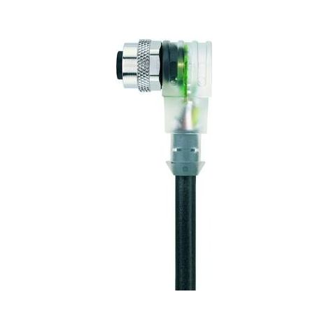 Escha 8045911 Connettore confezionato per sensore o attuatore M12 Presa angolata 2.00 m Numero di poli: 4 1 pz. (1/4)