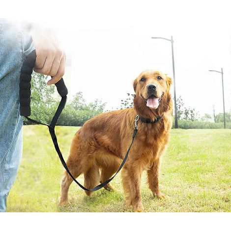 Laisse pour chien avec poignée rembourrée et confortable, résistante et durable. (1/4)