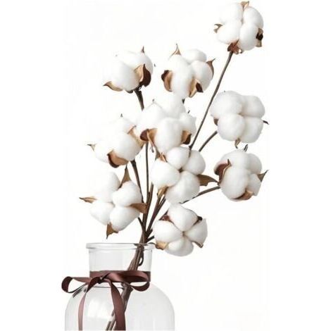 10 Natural Dried Cotton Flowers + 5 Cotton Head Flowers, Bouquet Dried Cotton Flowers, Cotton Branches, Fake Dried Plants for Balcony, Home, Table, Floral Arrangements, Weddings