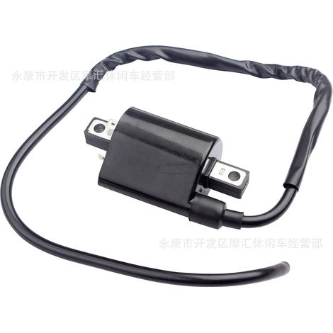 Compatible with Hyosung GT250 GT250R GV250 GT 250R igniter CDI 32900HM815 (1/5)