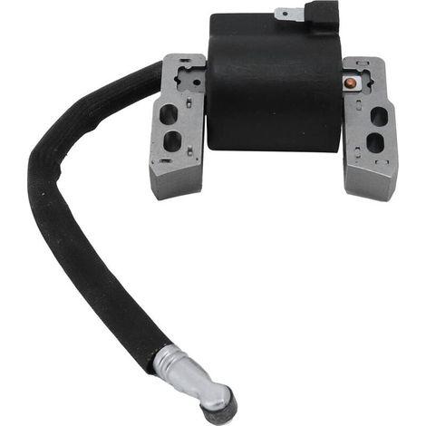 SJLERST Bobine D'allumage Outil De Jardin Accessoire Bobine D'allumage Remplacement Outil De Jardin Accessoire 695711 802574 493237 796964 492416 (1/5)