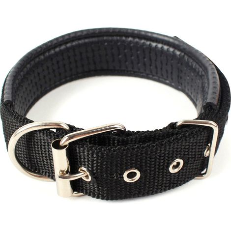 Collier Chien - Nylon Épais - Boucle Métallique Robuste - Anneau D Pour Laisse - Réglable En 4 Points - Pour Chiens Moyens à Grands - 1 Pièce (1/5)