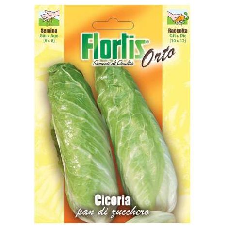 Cicoria Bianca Pan Di Zucchero