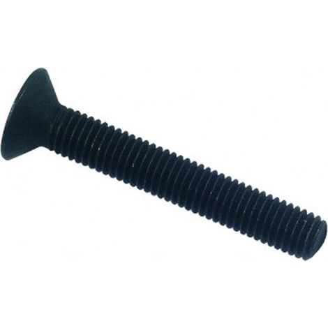 Vis tête fraisée six pans creux (FHC) DIN 7991 classe 10,9 brut - 5 x 16 mm - BIVI (1/2)